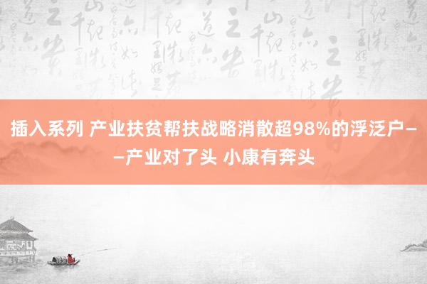 插入系列 产业扶贫帮扶战略消散超98%的浮泛户——产业对了头 小康有奔头