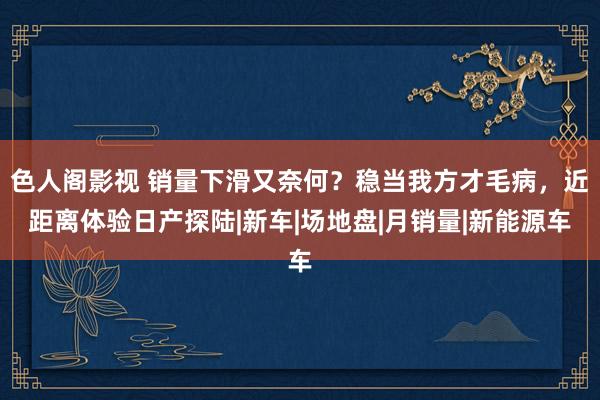 色人阁影视 销量下滑又奈何？稳当我方才毛病，近距离体验日产探陆|新车|场地盘|月销量|新能源车